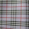 Oxford 600d Plaid Printing Polyester Fabric (XL-X130)